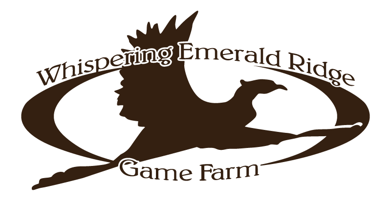 Whispering Emerald Ridge Game